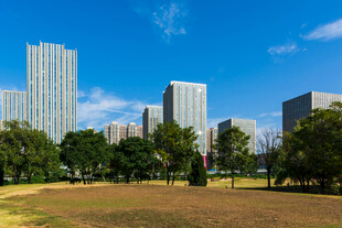 城市公园远眺高楼群