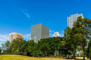 晴朗城市绿地建筑风光