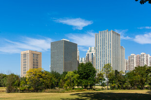 城市绿地高楼景观