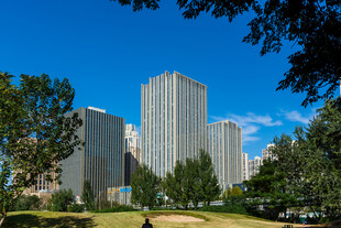 晴日城市公园高楼景观