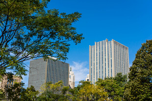 蓝天下城市高楼绿植景观