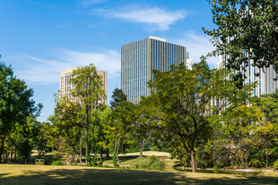 城市公园晴日风光