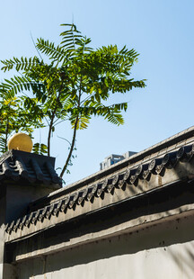 古建屋檐旁的绿树晴空