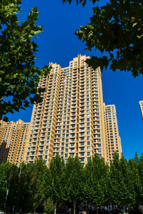 绿树掩映高层住宅楼