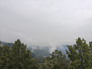 雾中山林自然风景