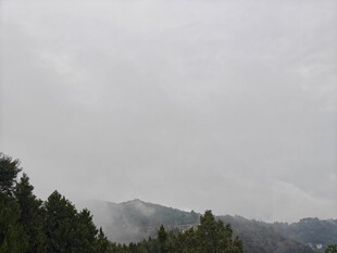 阴天雾蒙山林远景