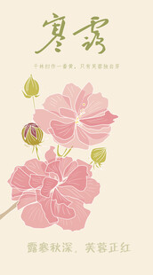 寒露节气海报