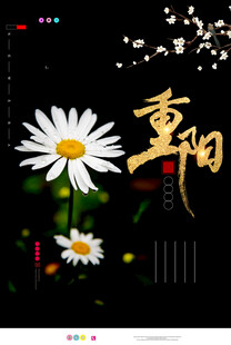 重阳雏菊节日主题图