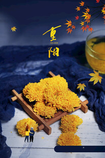 重阳桂花创意微景