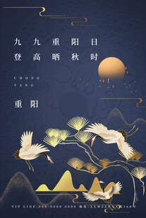 九九重阳国风海报