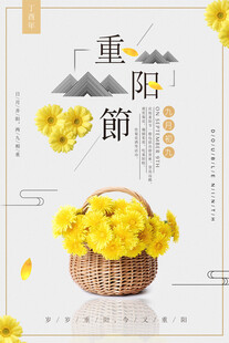 重阳节菊花主题海报