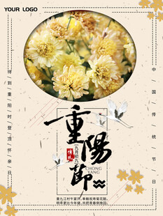 重阳节赏菊古风海报