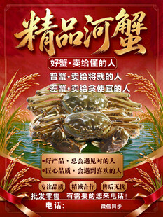 精品河蟹海报