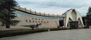 博物馆恐龙园