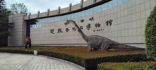 恐龙博物馆入口景观墙