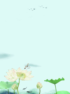 荷花
