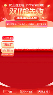 双11抢先购直播贴片