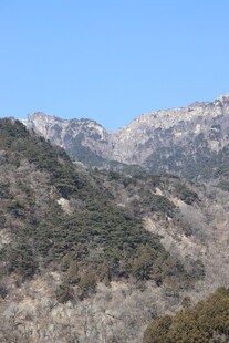 晴日山野风光