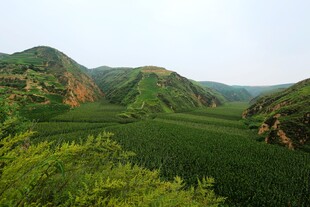 青绿山野自然景观