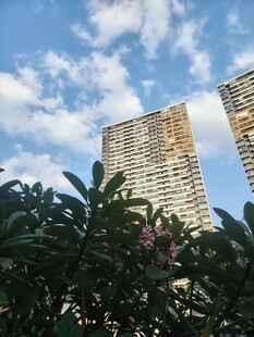 仰拍城市高层楼宇