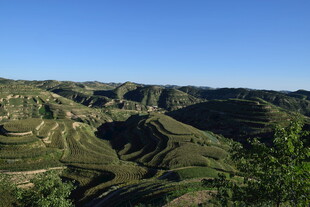 晴日丘陵山野风光