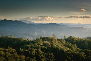 晨雾层峦山野风光