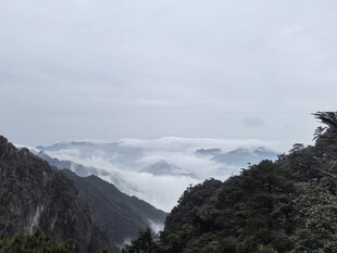 山谷云雾自然景观