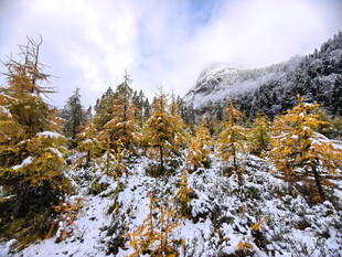 秋天雪山