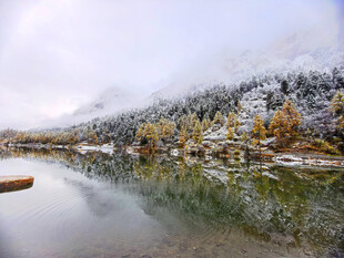 湖泊雪景
