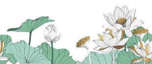 荷花背景