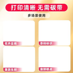 黄色背景电商主图模板