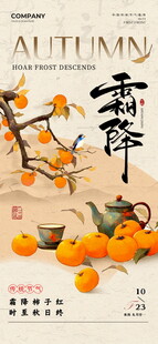 霜降节气国风柿子海报