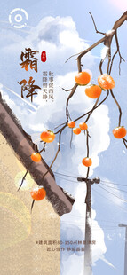 霜降节气柿子手绘海报