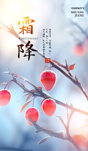 霜降节气柿子主题海报