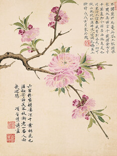 古风桃花工笔国画