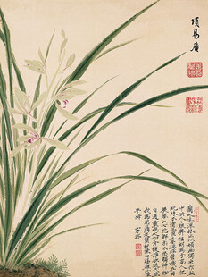 国画工笔兰花图