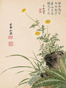 工笔花卉国画小品