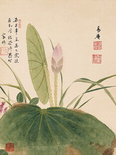 工笔荷花国画小品
