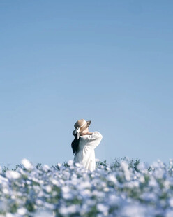 晴空花田白衣少女