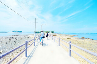 夏日海滨步道风光