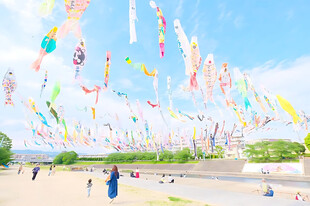 晴空下的鲤鱼旗庆典