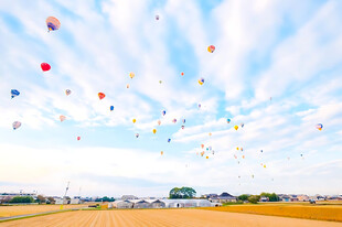 晴空旷野飘满彩色气球