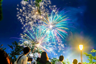 夏夜共赏绚烂烟花
