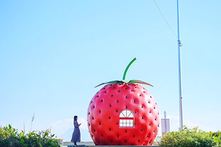 创意草莓造型小屋