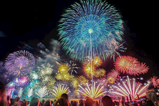 节日夜空璀璨烟花秀