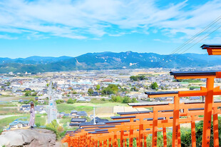 神社鸟居远眺郊野美景