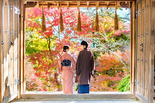 日式庭院和服秋日赏景