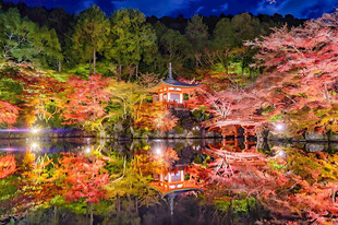 秋夜湖畔红叶古寺风光
