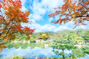 秋日湖畔红枫美景
