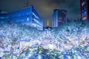 城市夜景水面倒影